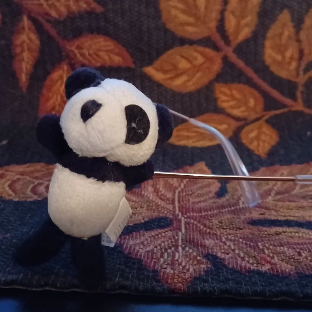 New Vintage Icon Eyewear Kids Eyeglasses buddy / Pal Panda Fit All Glasses